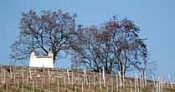 Rheingau